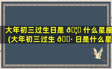 大年初三过生日是 🦈 什么星座(大年初三过生 🌷 日是什么星座的)